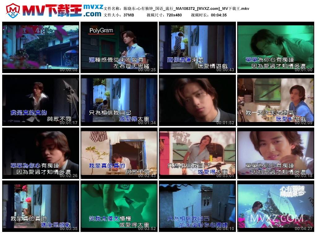 陈晓东-心有独钟_国语_流行_MA108372